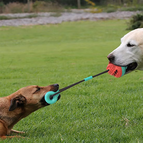 Neues Design, rollender Hundespielball, Puzzle und Kauspielzeug für Haustiere, Leckereien, Gummiballspielzeug, unendlich scrollendes Hundespielzeug