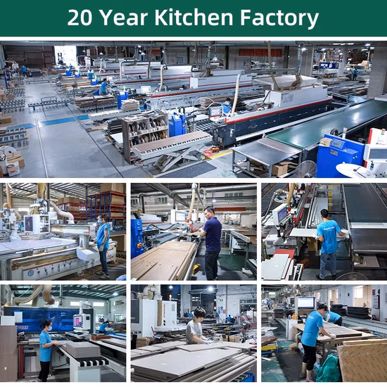 Großhandel mit originellen Design-Haustier-Katzenmöbeln und schwarzem Kratzbaumturm